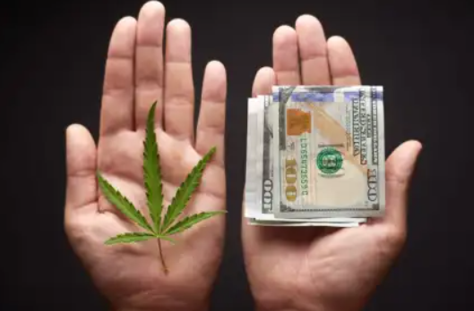 Key Legal and Financial Challenges for Cannabis Startups in 2025